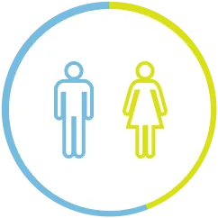 社員の男女比率