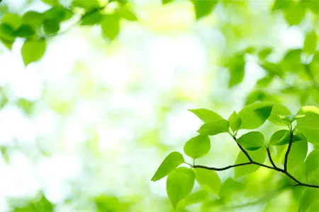 サステナビリティ